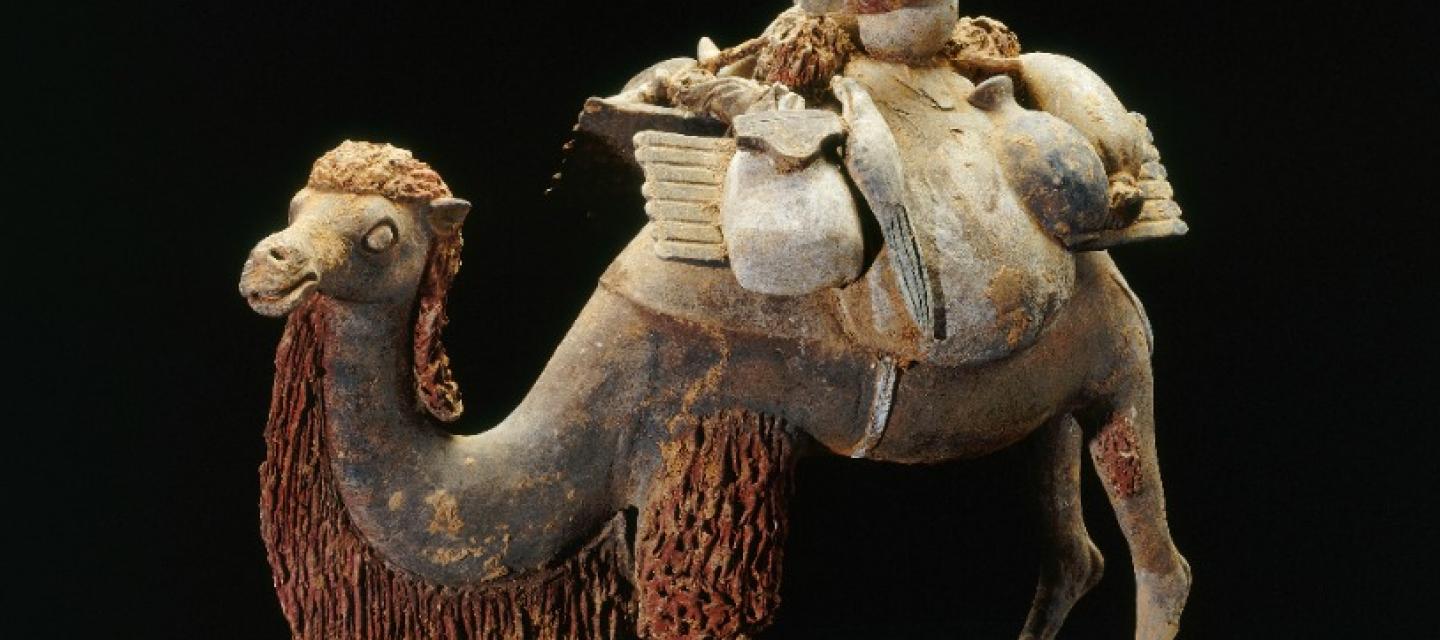 Chamelier et son chameau - exposition Draguignan