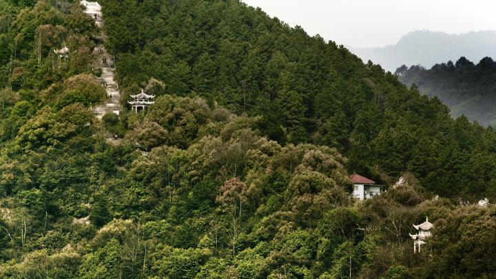 Photo de paysage du film Séjour dans les monts Fuchun